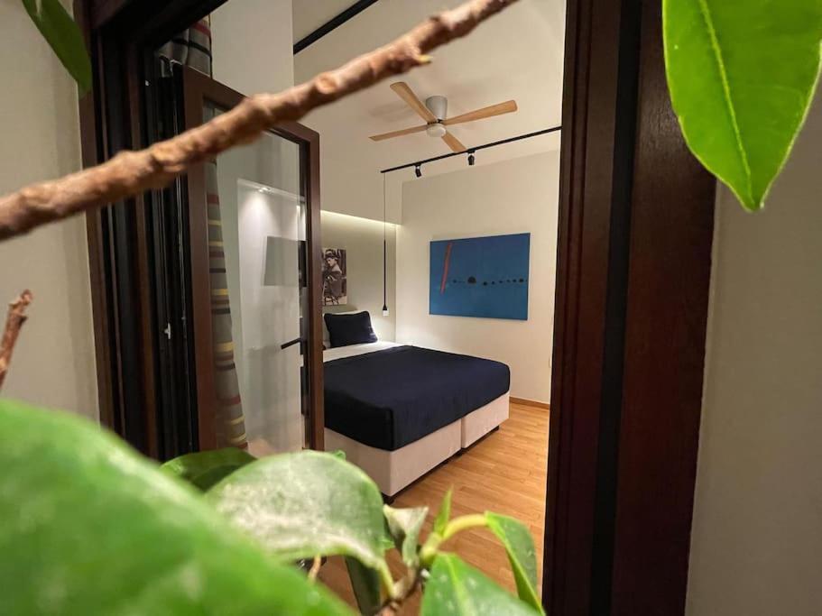 Acropolis Lux Apartment アテネ エクステリア 写真