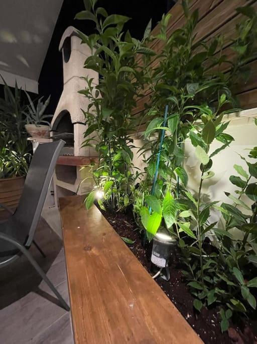 Acropolis Lux Apartment アテネ エクステリア 写真